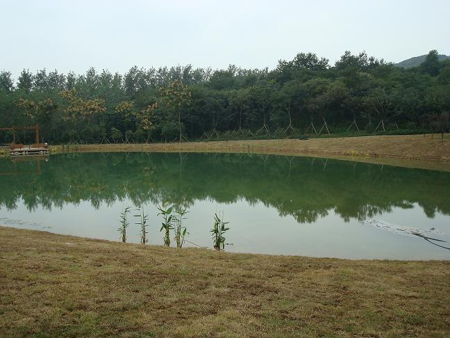 Pond and reservoir